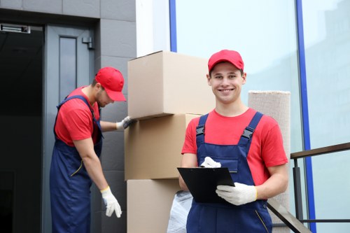 Person browsing a removals website on a laptop