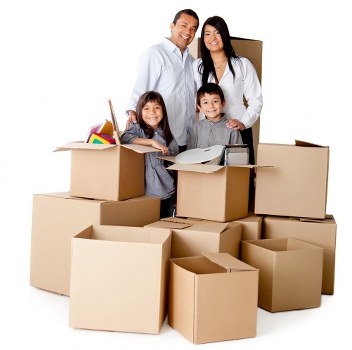 Professional mover carrying boxes in Haringey